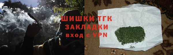 прущие грибы Армянск