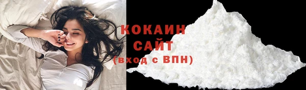 прущие грибы Армянск