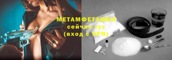 прущие грибы Армянск