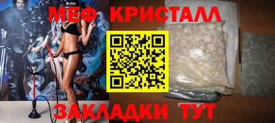 крисы Можга