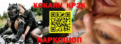 крисы Можга