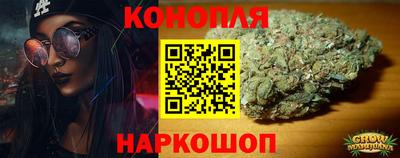крисы Можга