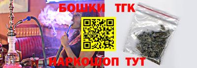 крисы Можга