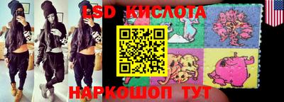крисы Можга