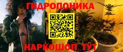 крисы Можга
