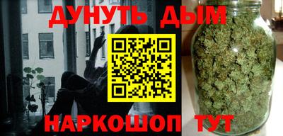 крисы Можга