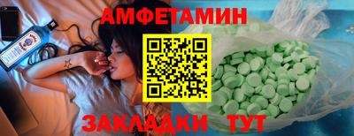 крисы Можга