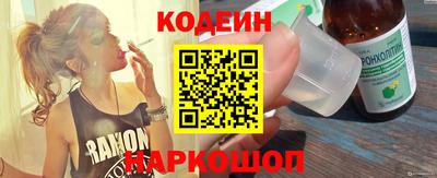 крисы Можга