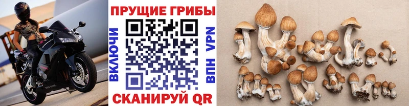 Галлюциногенные грибы Cubensis  blacksprut вход  Тобольск  хочу  