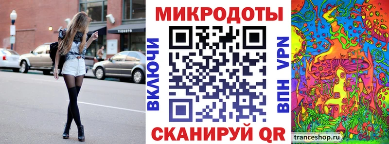 Галлюциногенные грибы Psilocybe Тобольск